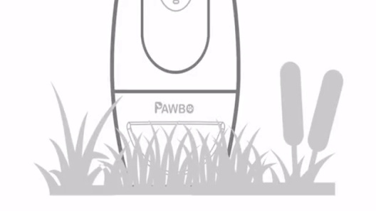 Play Video: Learn More About Pawbo From Our Team of Experts