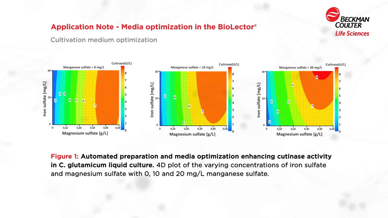 Enhanced Image Optimization