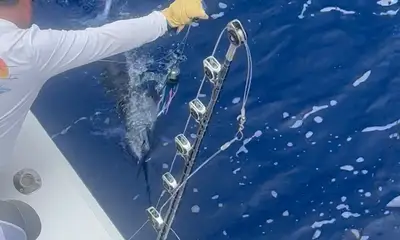 Kailua-Kona Report Video 2