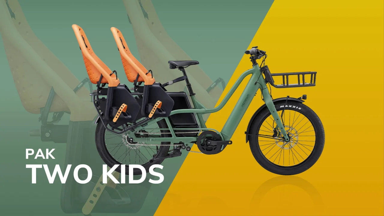 9 Best Cargo e-bike Accessories to Spice Up Your Ride