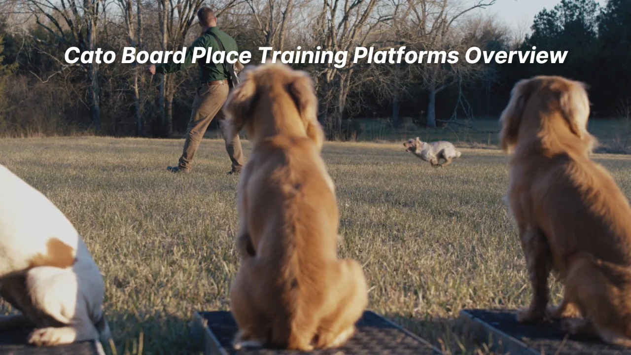 Cato Board Dog Place Training Board with Rubber Surface Gun Dog
