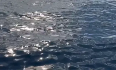 Puerto Aventuras Report Video 0