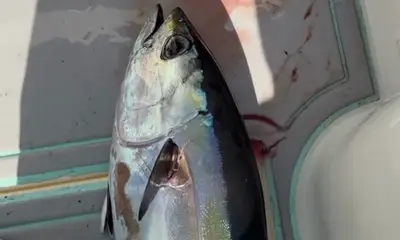 Miami-Dade County Report Video 2