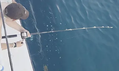 Destin Report Video 0