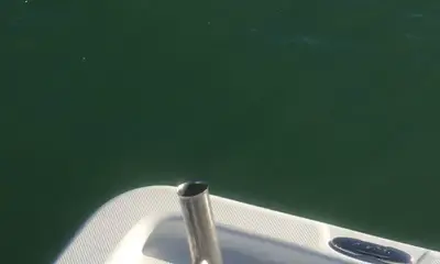 Sarasota Report Video 0
