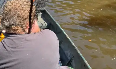 Minnesota Report Video 1