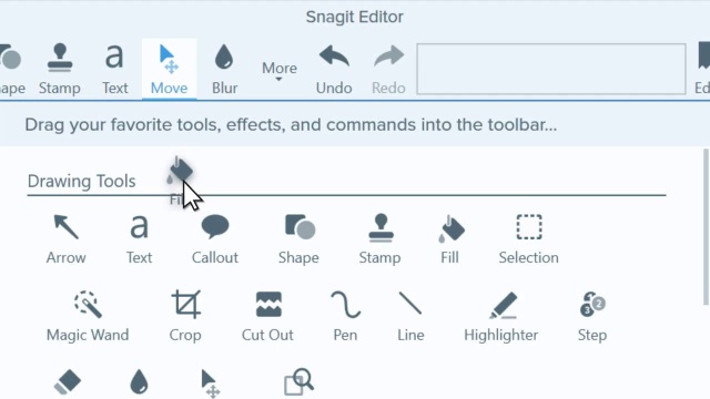Snagit Snagit