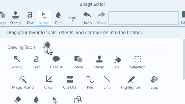 SnagIt  Image editors