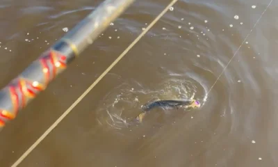 River Road Report Video 0