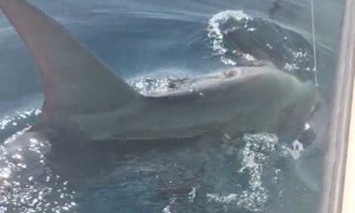 Unforgettable experience 