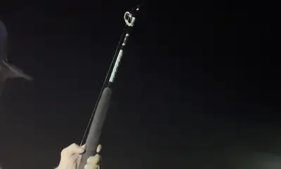 Hampton Report Video 1