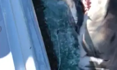 Montauk Report Video 0