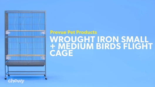 Prevue Pet Products Wrought Iron Flight Cage with Stand F040 Black Bird  Cage, 31-Inch by 20-1/2-Inch by 53-Inch