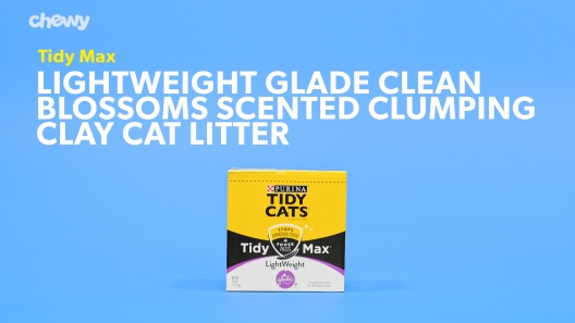 Play Video: Learn More About Tidy Max From Our Team of Experts