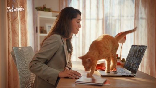 Hartz Delectables Squeeze Up Tuna, Chicken, & Salmon Flavored Variety Pack Lickable Cat Treats