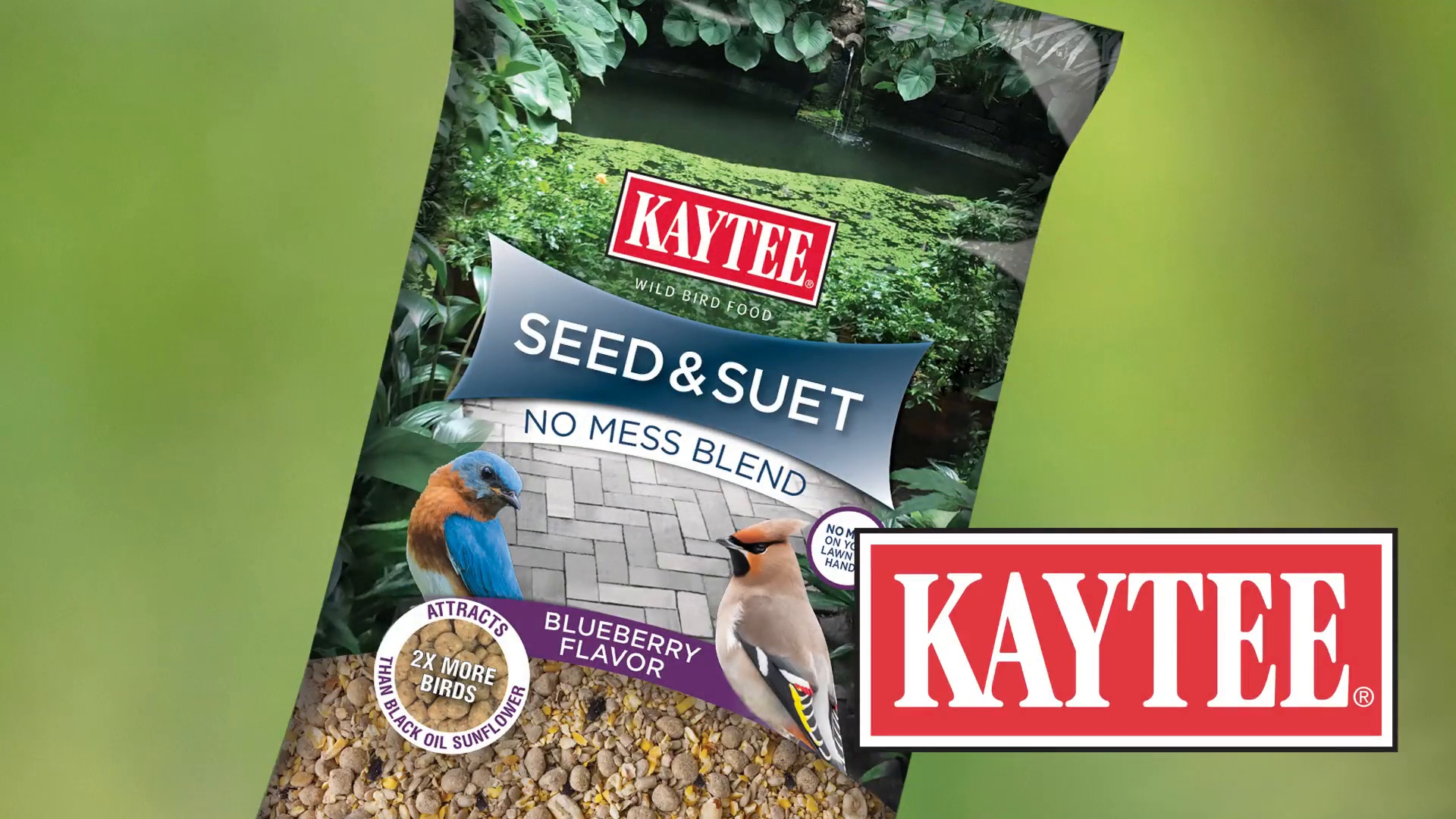 kaytee positively peanut suet