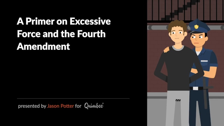 A Primer on Excessive Force and the Fourth Amendment