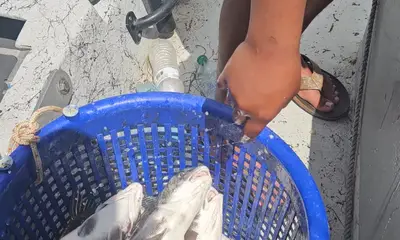 Corpus Christi Видео отчет 0