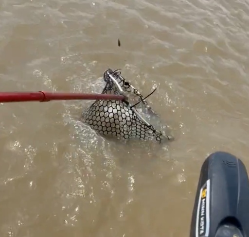 Business Card: South Waters Crappie Guide