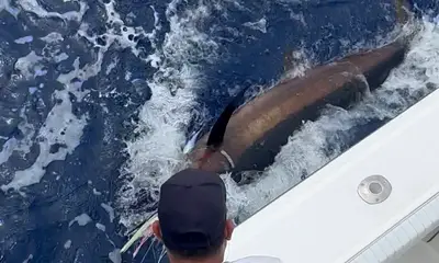 Kailua-Kona Report Video 0
