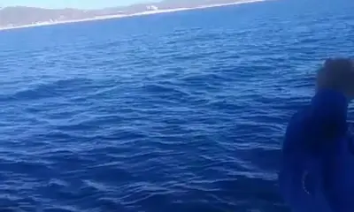 San Jose del Cabo Report Video 0