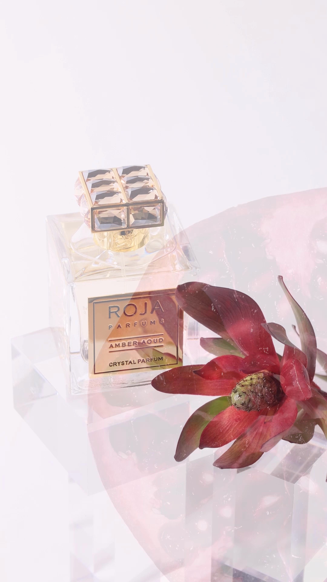 ROJA Amber Aoud Parfum | Nordstrom