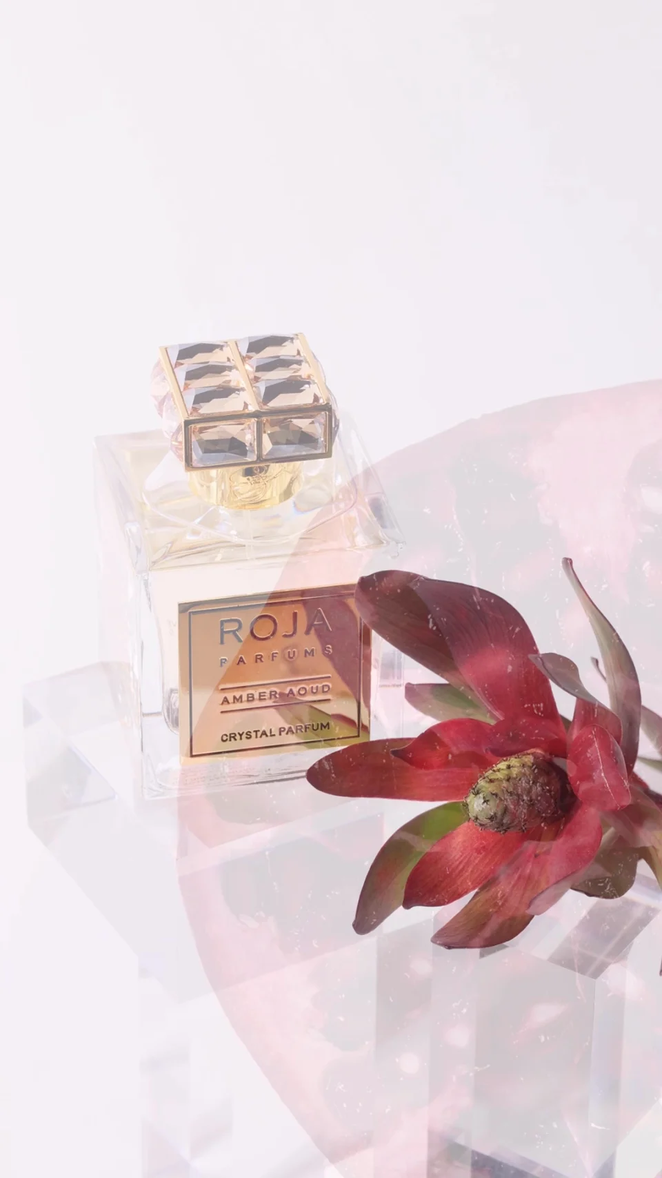 ROJA Amber Aoud Parfum | Nordstrom