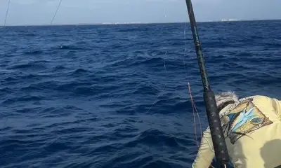 Great Day at Sea Sir!