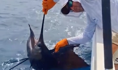 Herradura Report Video 0