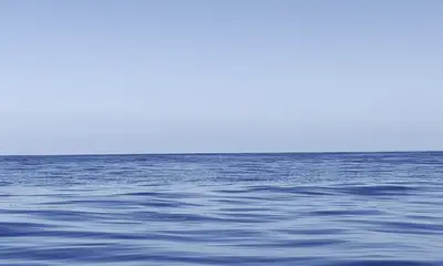 Targetted Grouper and Snapper 