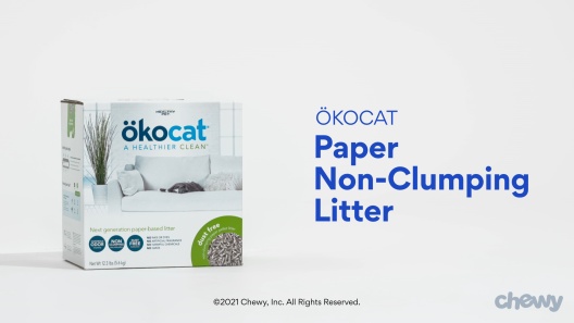 Play Video: Learn More About Okocat From Our Team of Experts