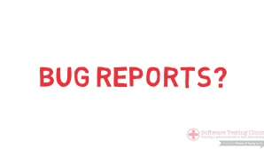 What's A Bug Report? image