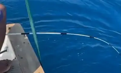 Guerrero Report Video 3