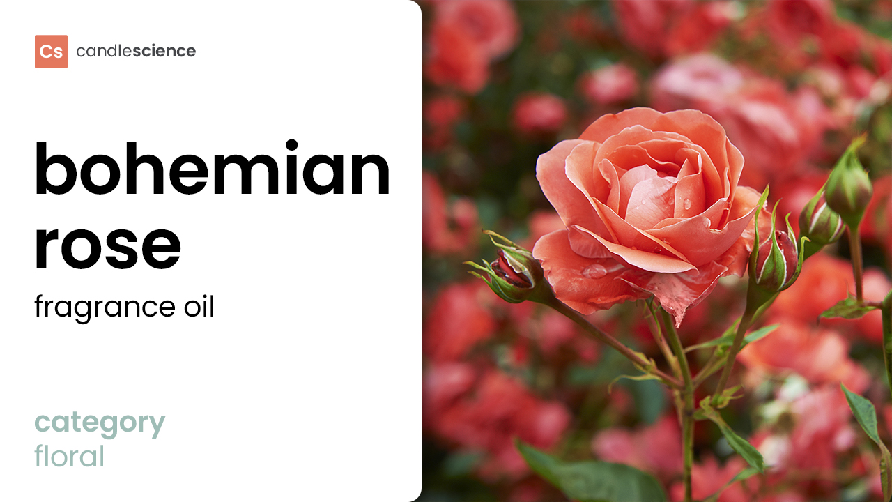 Bohemian Rose Fragrance Oil - CandleScience