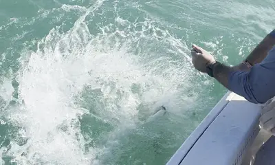 Stock Island Report Video 0