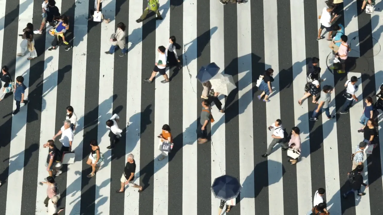 Industries - Public Sector header video