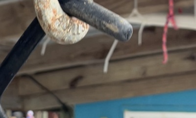 Family Trip - Mom, Dad & 3 young teenagers. 