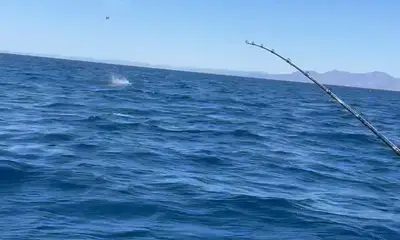 Baja California Report Video 2