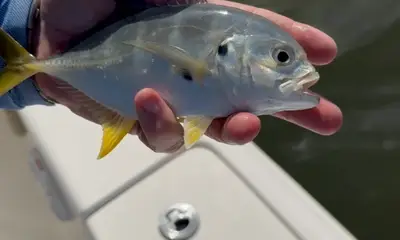 A beautiful day\u2026.