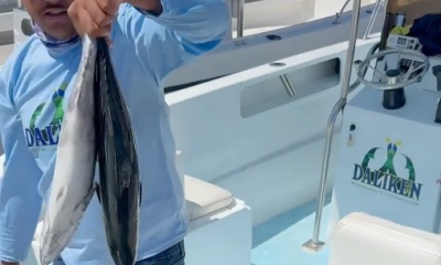 San Jose del Cabo Report Video 0