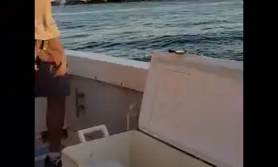 Redington Shores Report Video 0