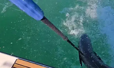 October fishing trip