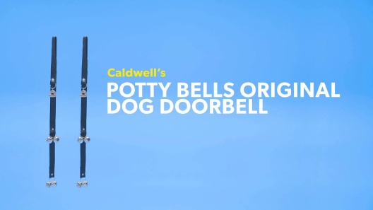 Play Video: Learn More About Caldwell's From Our Team of Experts