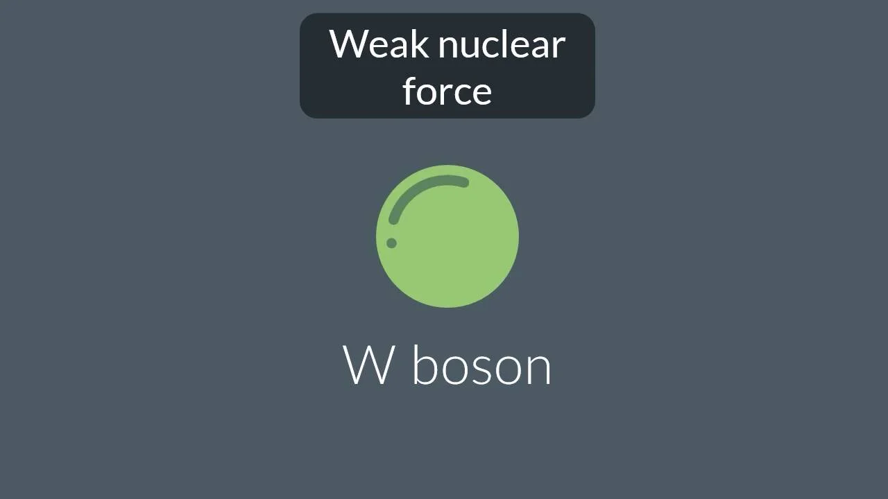 Strong Nuclear Force, Definition, Fundamentals & Examples - Lesson