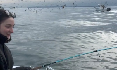 One bass, two bass, lots of striped bass