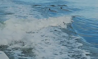 Top notch experience 