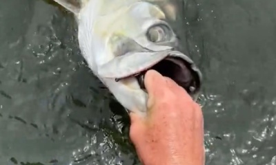 Jacksonville Report Video 1