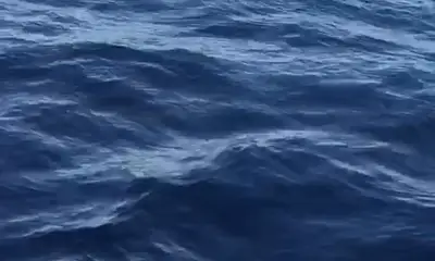 Corralejo Report Video 0