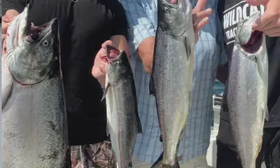 Lake Ontario Oswego NY