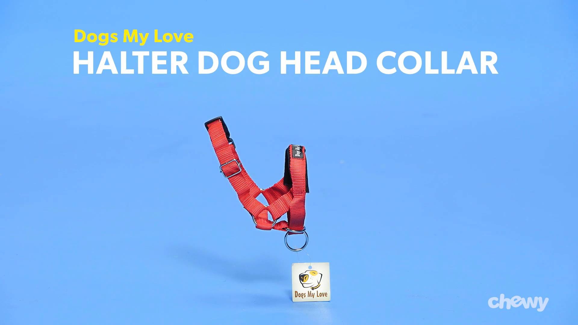 dogs my love headcollar